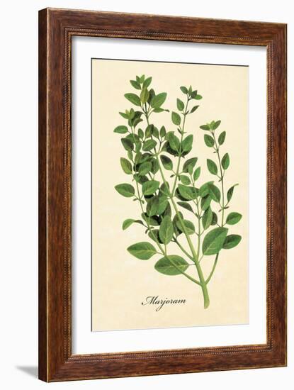 Marjoram-The Saturday Evening Post-Framed Giclee Print