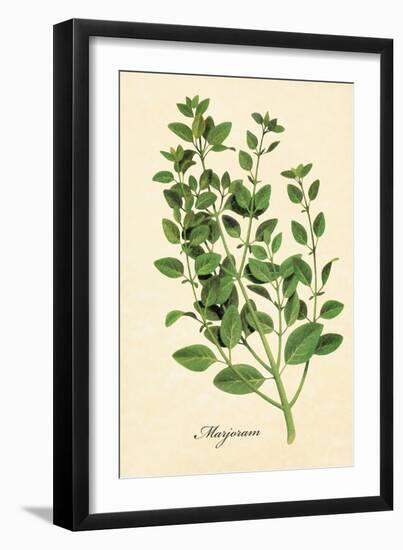 Marjoram-The Saturday Evening Post-Framed Giclee Print