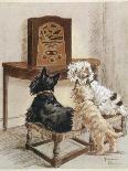 Three Dogs Enjoy a Radio Broadcast-Marjorie Turner-Photographic Print