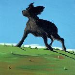 Joe's Black Dog, 1996-Marjorie Weiss-Giclee Print