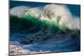 Photographic Print