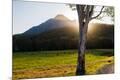 Photographic Print