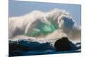 Photographic Print