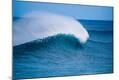 Photographic Print