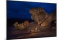 Photographic Print