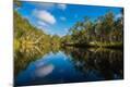 Photographic Print