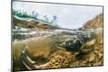 Photographic Print