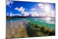 Photographic Print