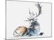Giclee Print