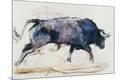 Giclee Print