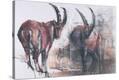 Stretched Canvas Print