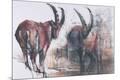 Premium Giclee Print