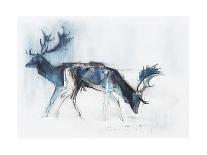 Striped Hyaena, 2010-Mark Adlington-Giclee Print