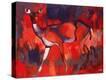 Stretched Canvas Print