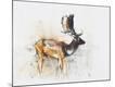 Premium Giclee Print