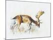 Giclee Print