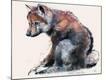 Giclee Print