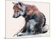 Giclee Print