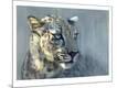 Giclee Print