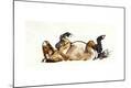 Giclee Print