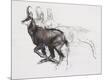 Giclee Print