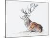 Giclee Print