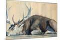 Giclee Print