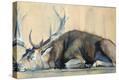Stretched Canvas Print