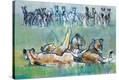 Stretched Canvas Print