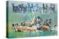 Stretched Canvas Print
