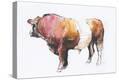 Stretched Canvas Print