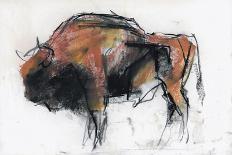 Fallow Bucks, Richmond, 2006-Mark Adlington-Giclee Print