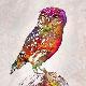 Giclee Print