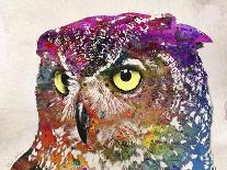 Owl Drawing-Mark Ashkenazi-Giclee Print