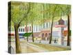 Stretched Canvas Print