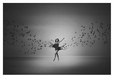 Ballerina Flight Of Birds-Mark Biwit-Giclee Print