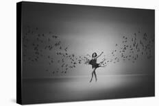 Ballerina Flight Of Birds-Mark Biwit-Giclee Print