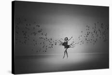 Ballerina Flight Of Birds-Mark Biwit-Framed Giclee Print