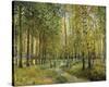 Stretched Canvas Print