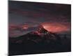 Premium Photographic Print