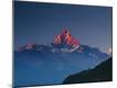 Premium Photographic Print