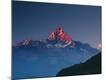 Photographic Print