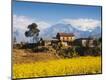 Photographic Print