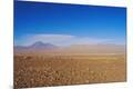 Photographic Print