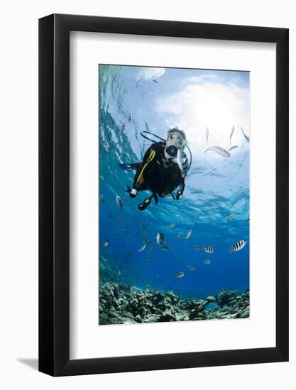 Photographic Print, , large