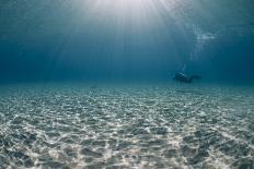 Solitary Scuba Diver in Shallow Sandy Bay, with Sun Beams, Naama Bay-Mark Doherty-Photographic Print