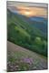 Premium Photographic Print