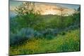 Photographic Print
