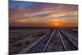Premium Photographic Print