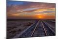 Photographic Print